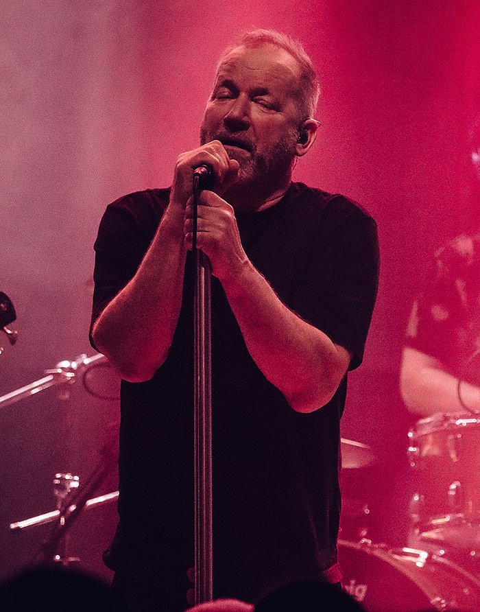 David Koller
